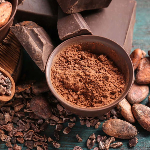 CACAO ORGÁNICO EN POLVO