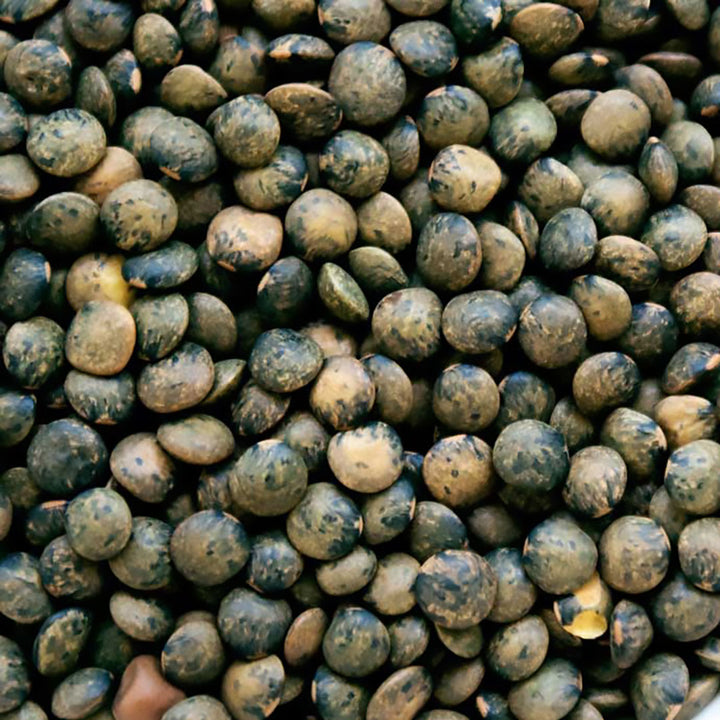 LENTEJA ORGÁNICA VERDE FRANCESA