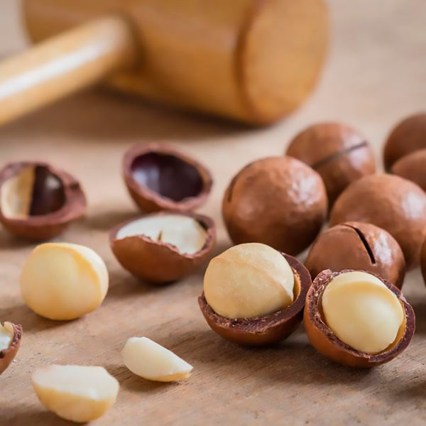 NUEZ MACADAMIA